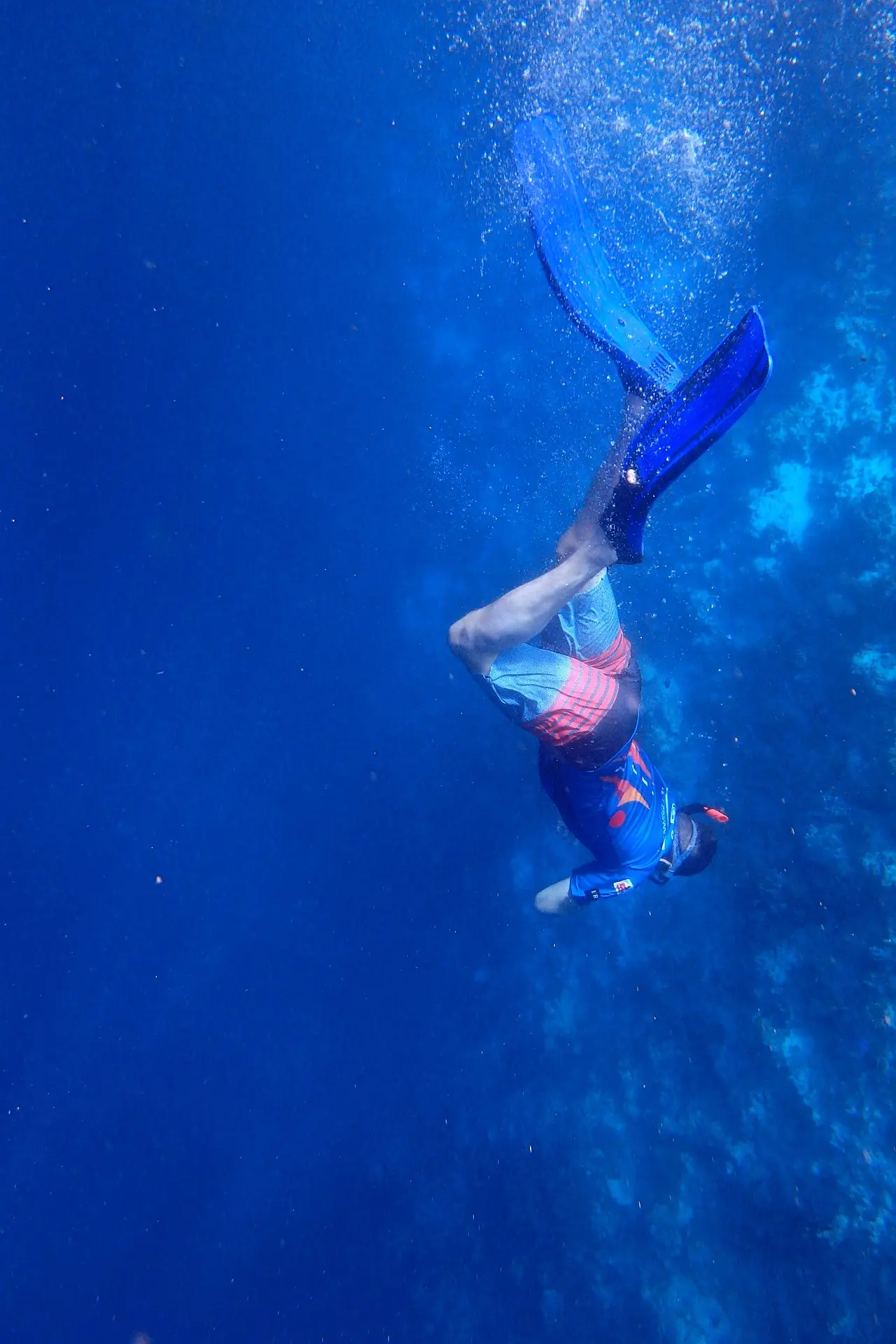 Snorkeling